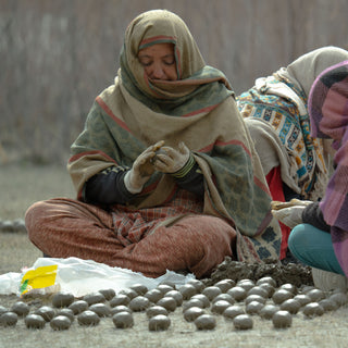 Rolling Seedballs and the Axis of Ecological Balance in North Pakistan - North Naturals 