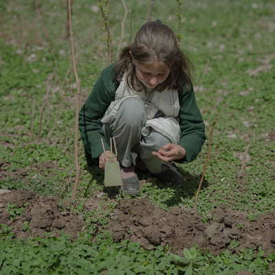 Connecting Children with Nature