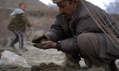 Rolling Seedballs and the Axis of Ecological Balance in North Pakistan